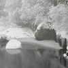 雪景色