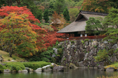 紅葉