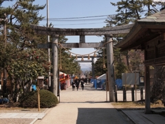 鳥居から市内を望む