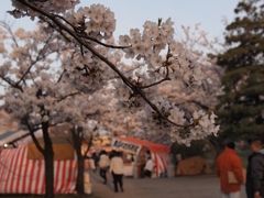 屋台のある風景