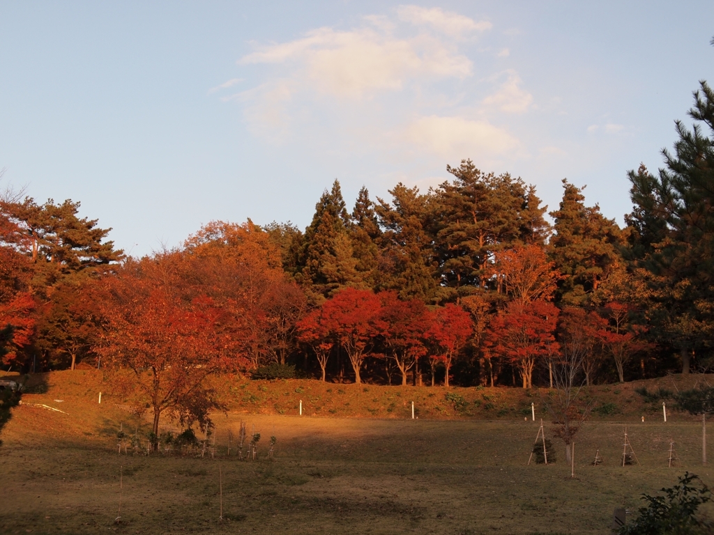 赤の風景