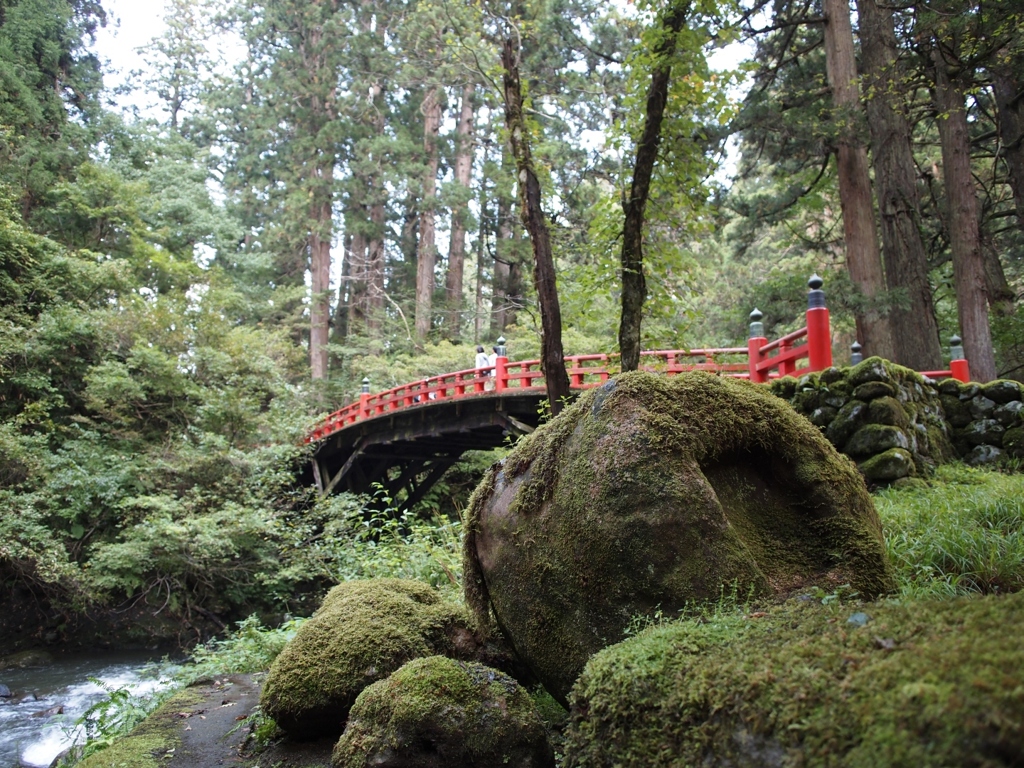 苔の生すまで