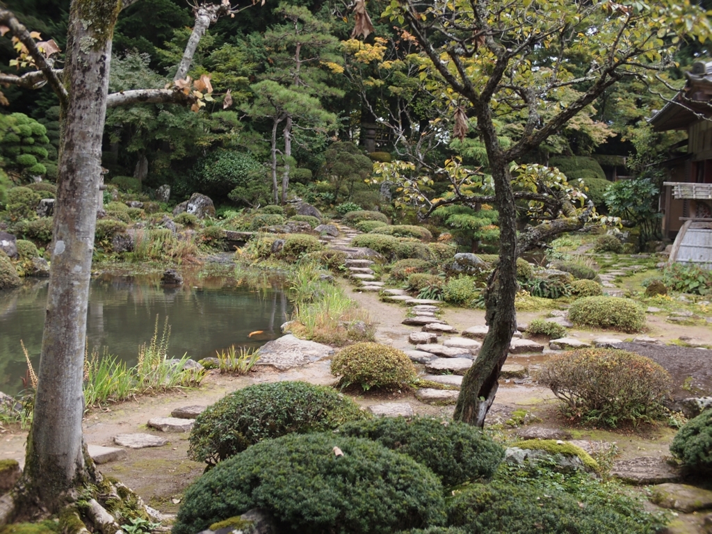 木立の間から