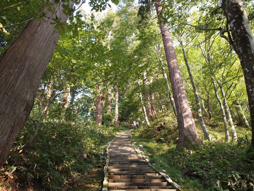 羽黒山参道・難所