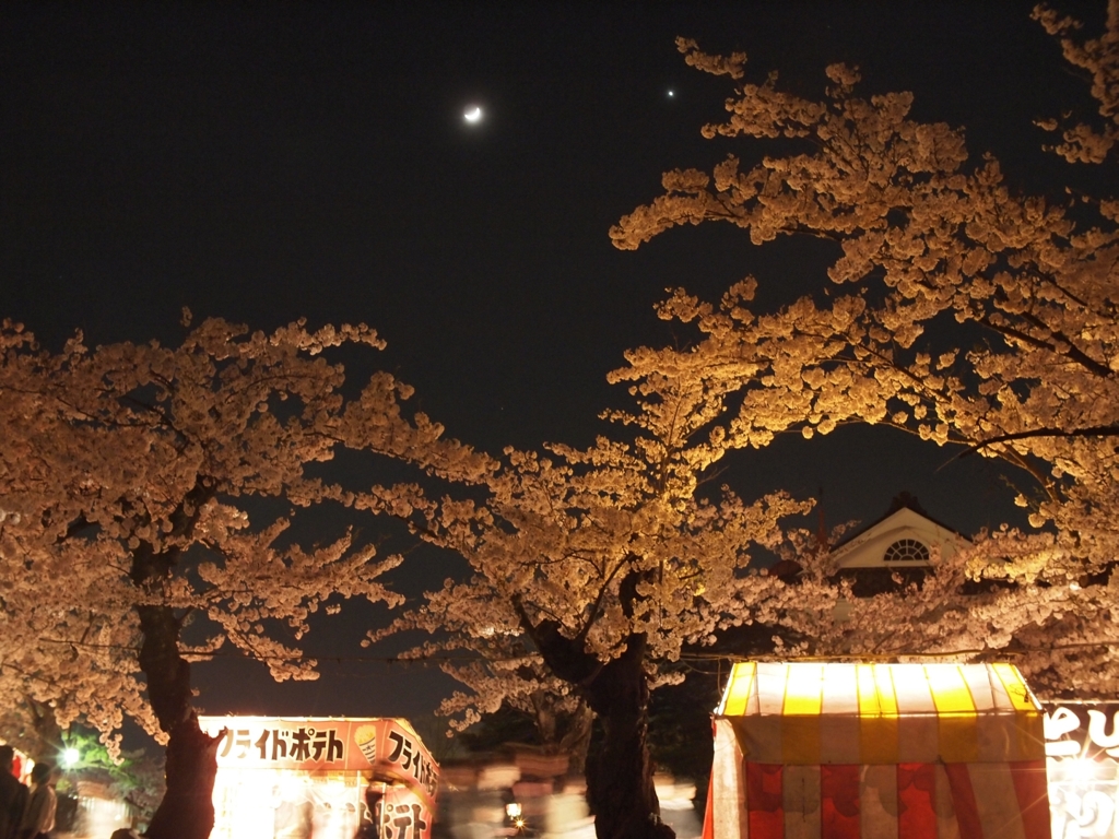 月と桜