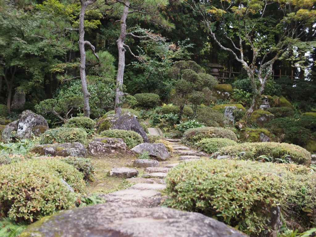 庭園の道