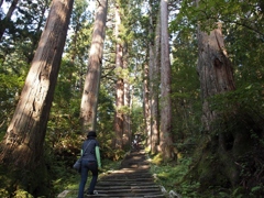 羽黒山参道二の坂