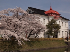 桜と大寶館