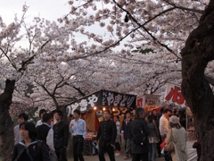 桜と屋台の風景