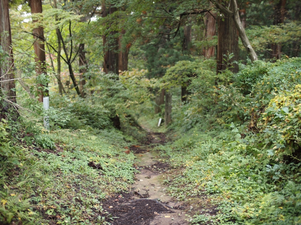 山道