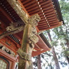 竜