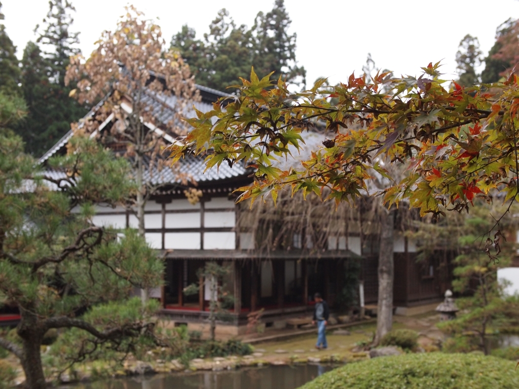 色付く紅葉