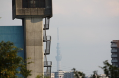 青水門から臨む東京スカイツリ―