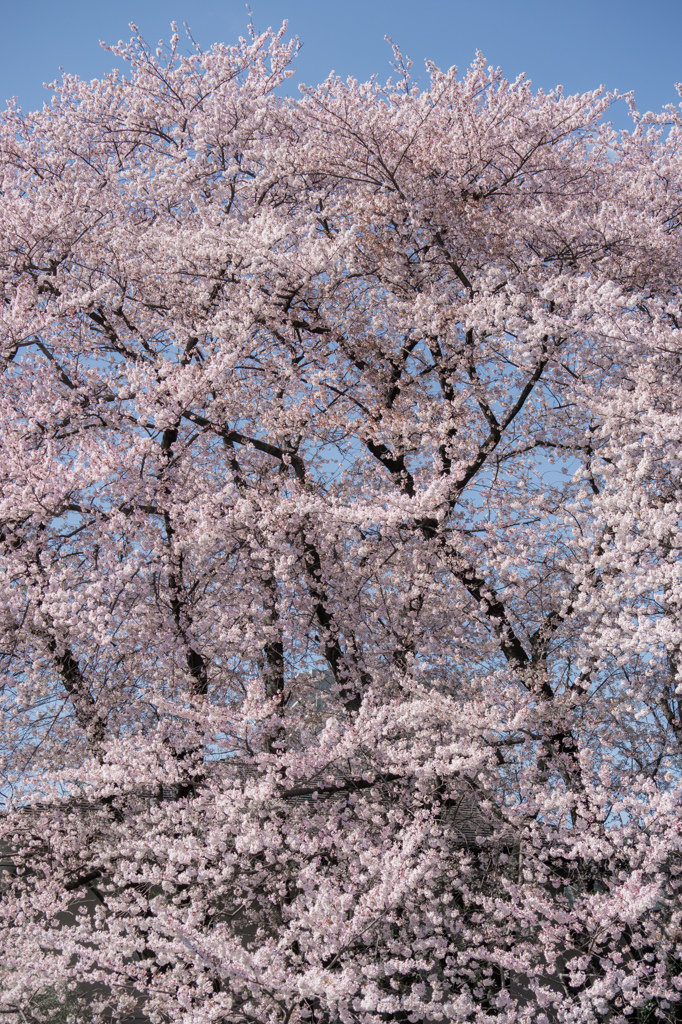 20140405-091607