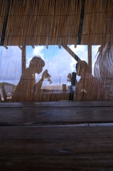 マンゴーに夢中