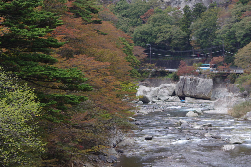 塩原紅葉