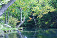 鳥沼公園１