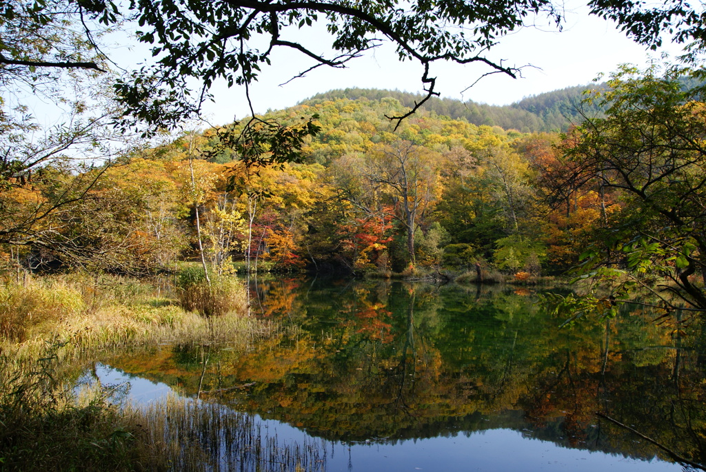 湖面ならぬ沼面に映る紅葉