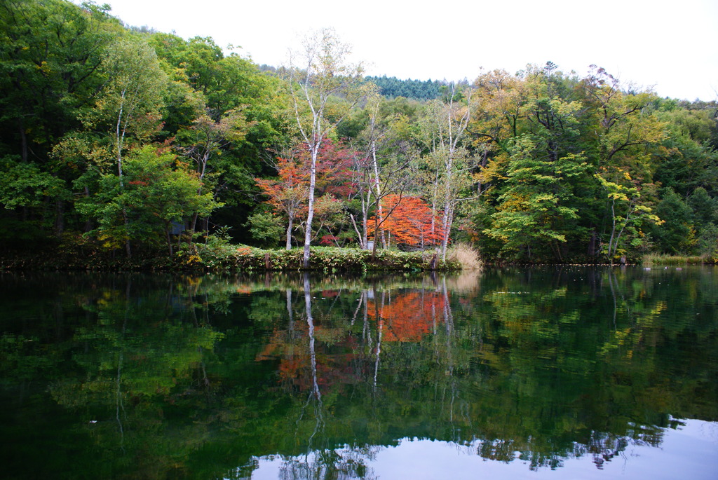 鳥沼公園３