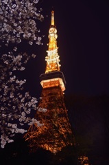 東京タワー 〜春〜