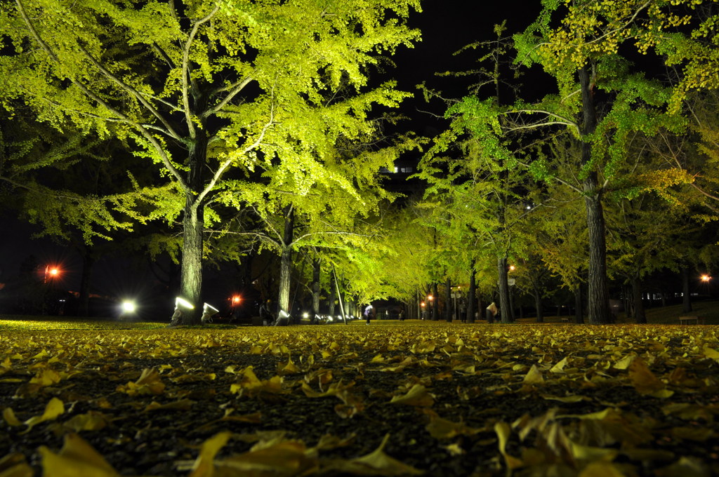 yellow carpet