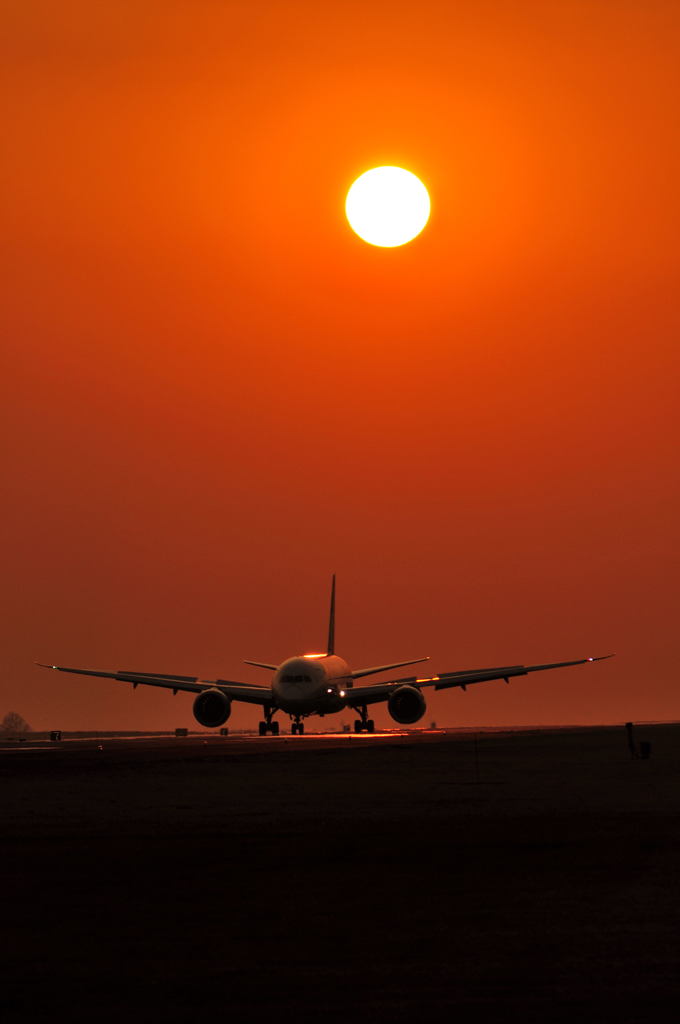夕陽を背に