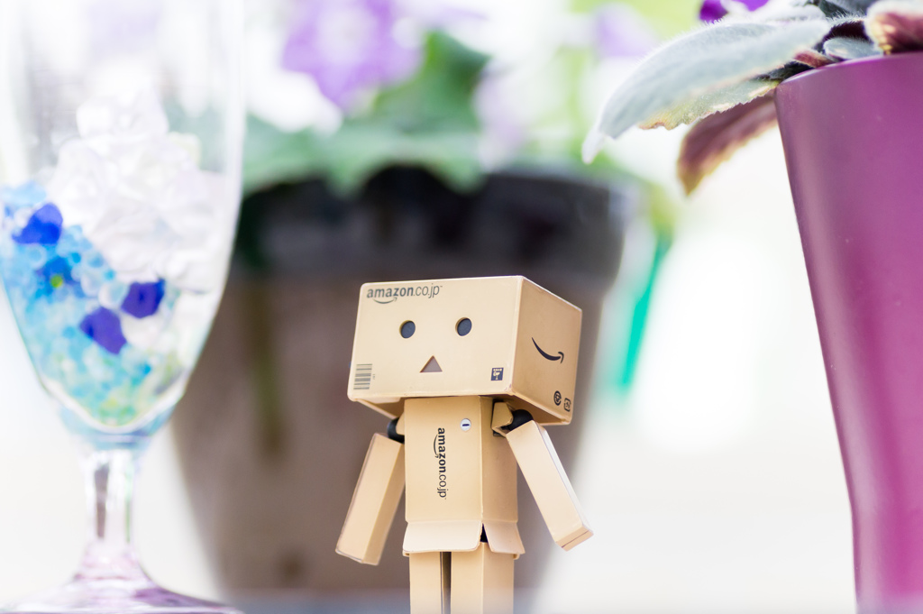 Danboard one celeb day