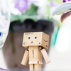 Danboard one celeb day