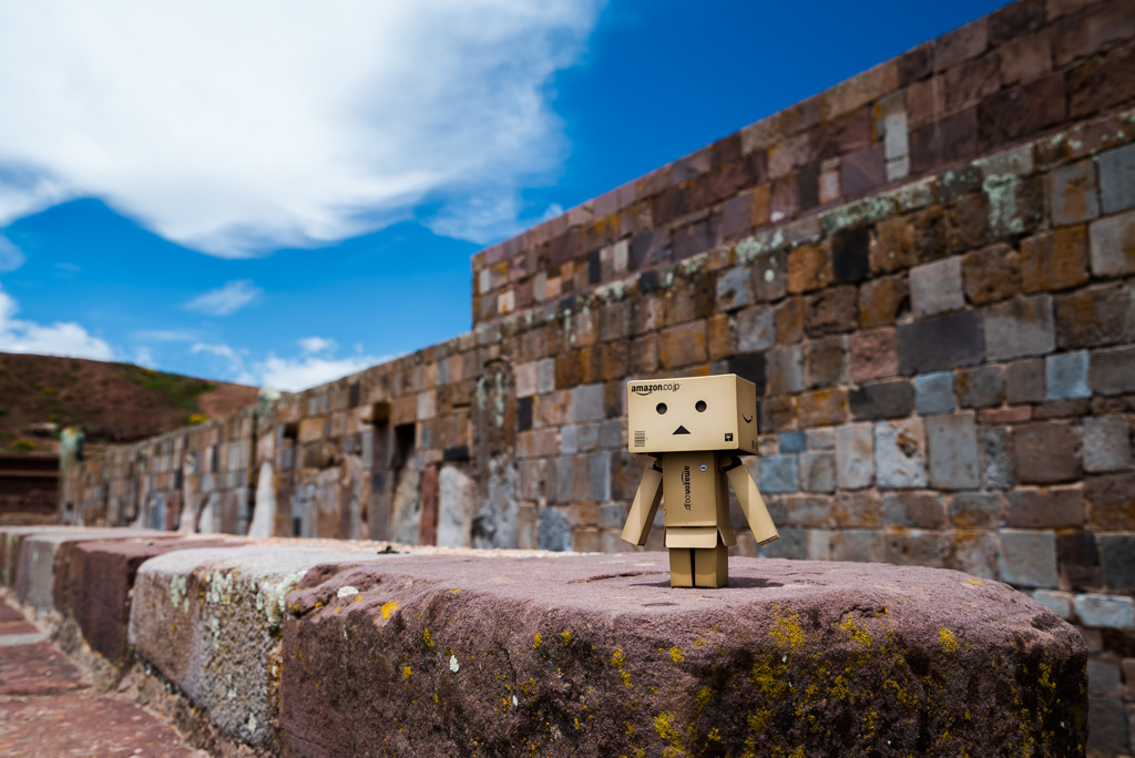 Danboard in Tiwanaku ruins