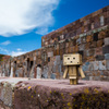 Danboard in Tiwanaku ruins