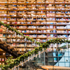 蔦屋書店②