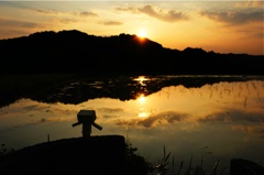 At dusk Dannbo-