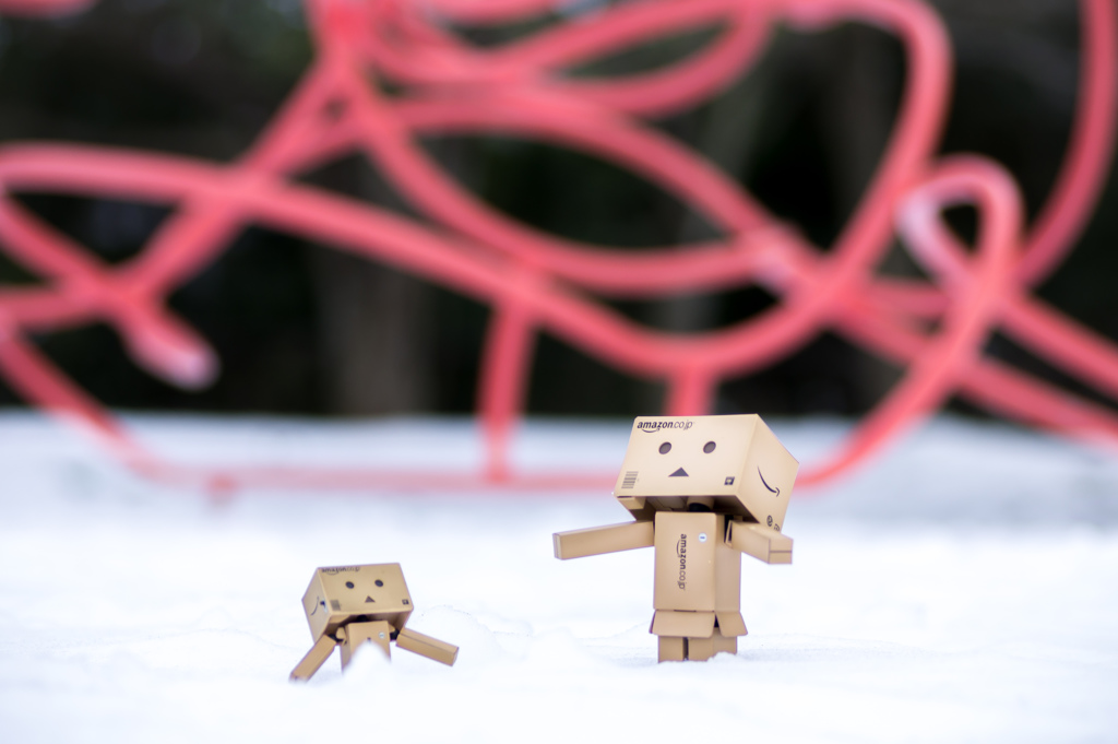 Danboard & Snow park
