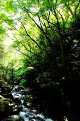 尼ん滝