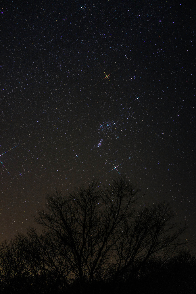 星が瞬くこんな夜に