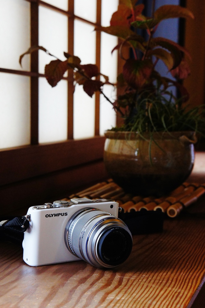 OLYPUS camera