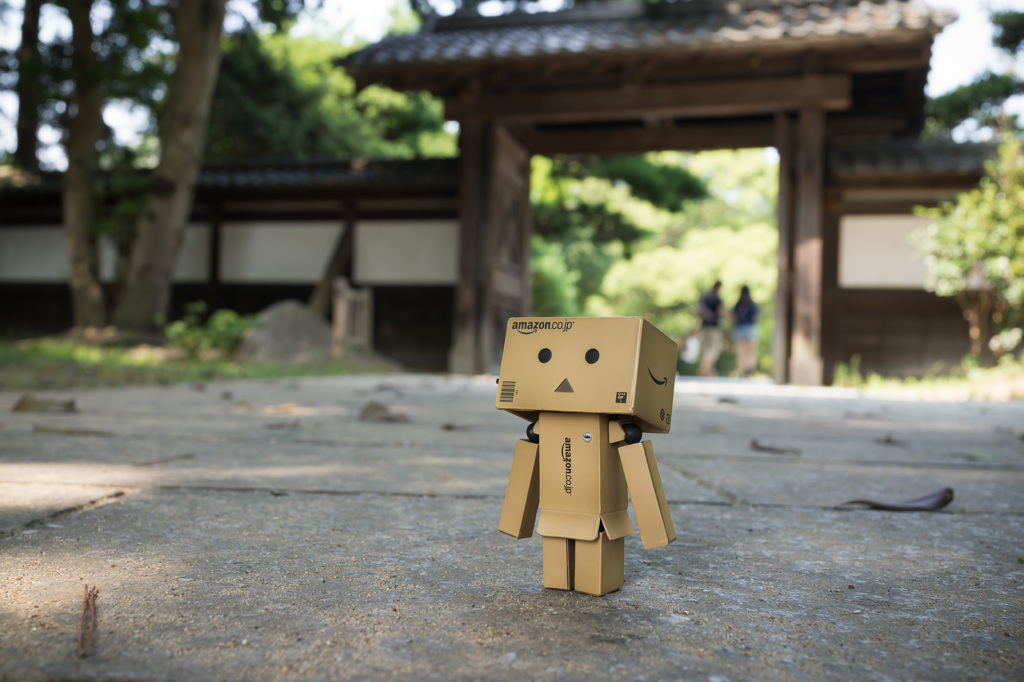 The temple & Danboard