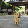 The temple & Danboard