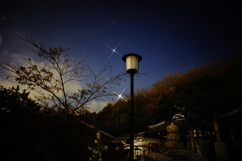 金星と月