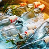 清涼炭酸水