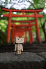 Danboard in IZUSI