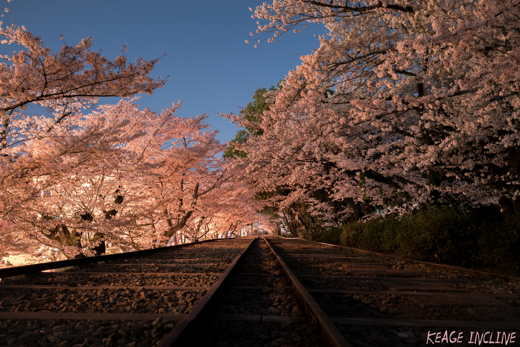 SAKURA INCLINE