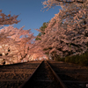 SAKURA INCLINE