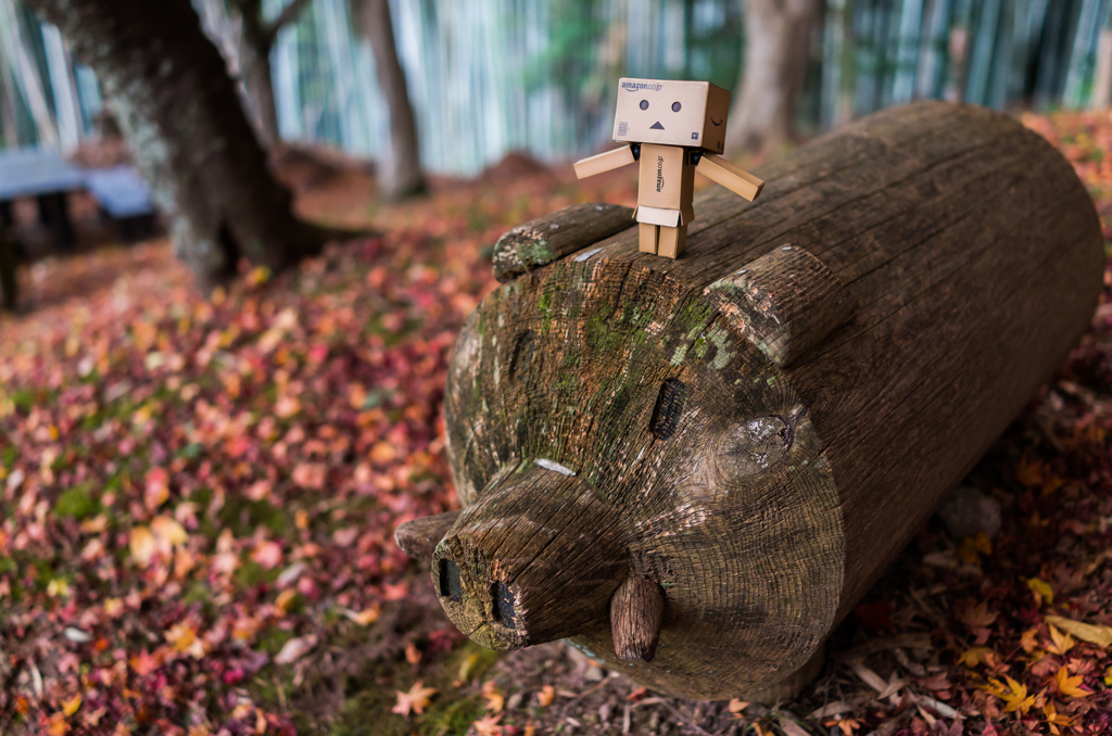 Danboard＆ Wild boar 