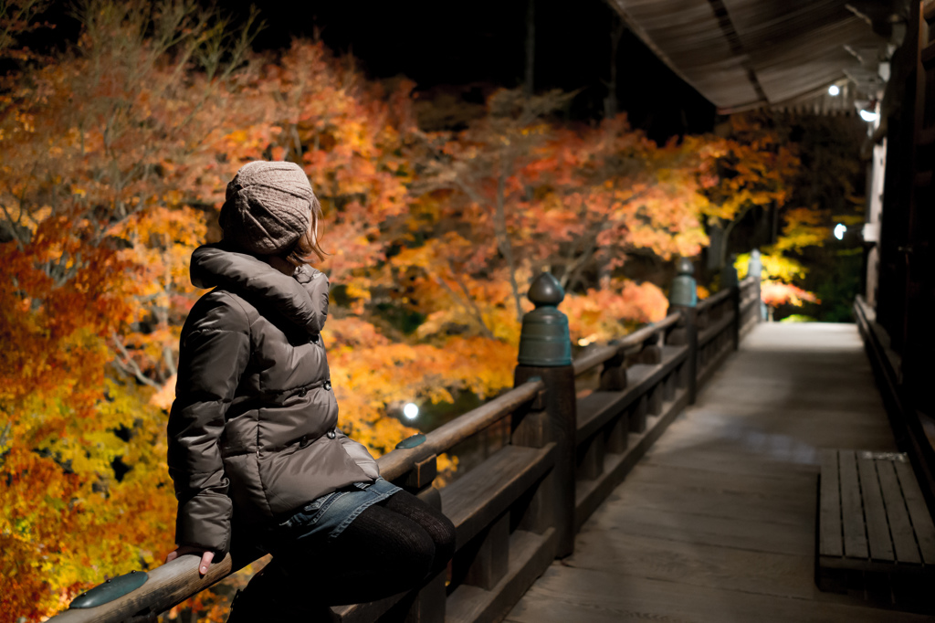 紅葉に黄昏る