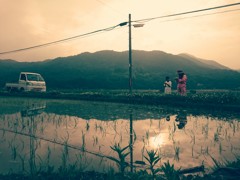 The countryside of dusk