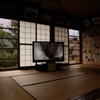新、旧