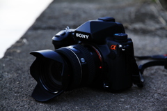 Canon de SONY