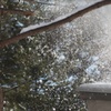 雪