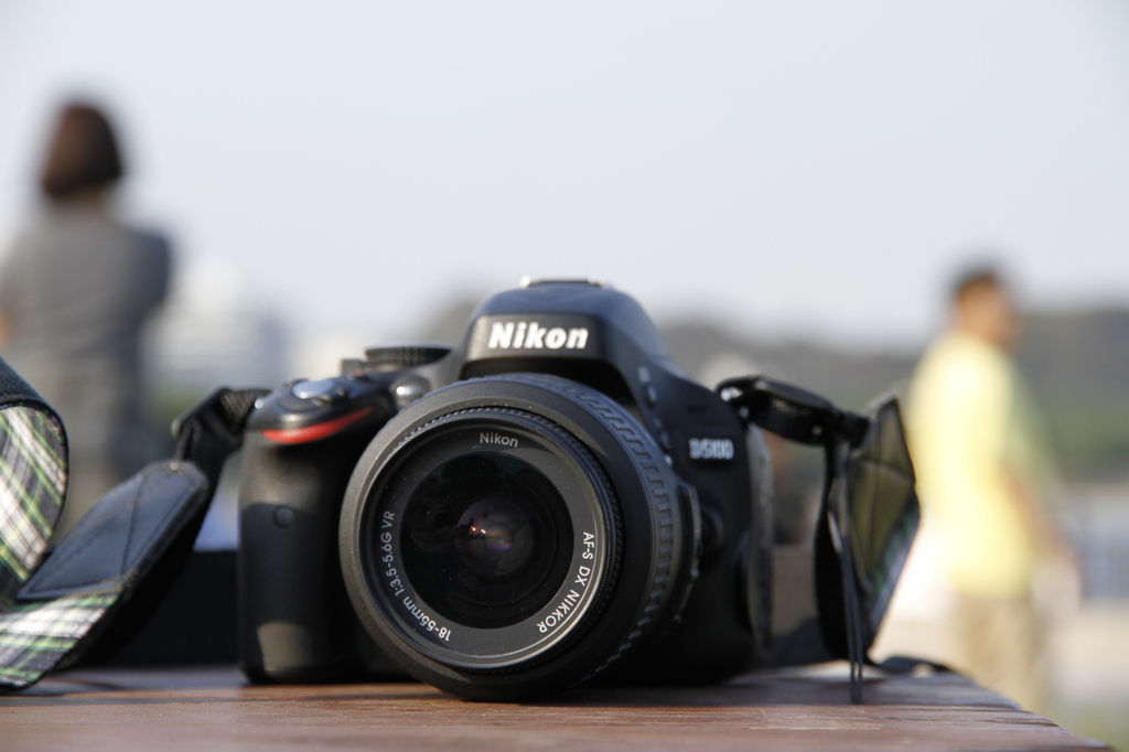 Canon de Nikon